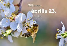 Április 23. Kvíz - április 23.