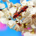 Április 29. Kvíz - április 29.