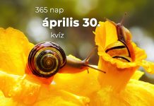 Április 30. Kvíz - április 30.