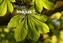 Május 1. Kvíz - május 1.