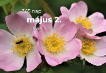Május 2. Kvíz - május 2.