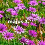 Május 3. Kvíz - május 3.