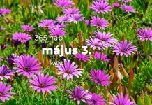 Május 3. Kvíz - május 3.