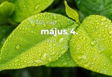 Május 4. Kvíz - május 4.
