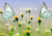 Május 5. Kvíz - május 5.
