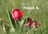 Május 6. Kvíz - május 6.