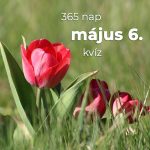 Május 6. Kvíz - május 6.
