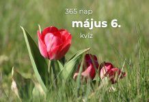 Május 6. Kvíz - május 6.