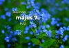 Május 7. Kvíz - május 7.