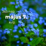Május 7. Kvíz - május 7.