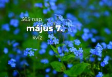 Május 7. Kvíz - május 7.