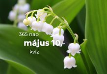 Május 10. Kvíz - május 10.
