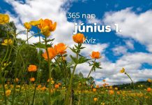 Június 1. Kvíz - június 1.