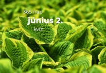 Június 2. Kvíz - június 2.