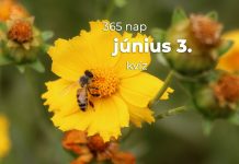 Június 3. Kvíz - június 3.