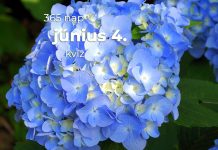 Június 4. Kvíz - június 4.