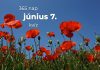 Június 7. Kvíz - június 7.