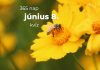 Június 8. Kvíz - június 8.