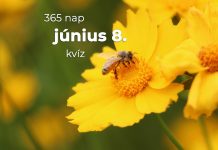 Június 8. Kvíz - június 8.