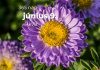 Június 9. Kvíz - június 9.