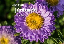 Június 9. Kvíz - június 9.
