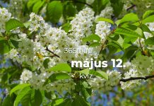 Május 12. Kvíz - május 12.