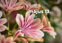 Május 13. Kvíz - május 13.