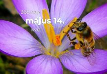 Május 14. Kvíz - május 14.