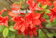 Május 16. Kvíz - május 16.
