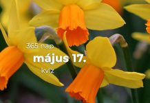Május 17. Kvíz - május 17.