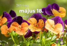 Május 18. Kvíz - május 18.