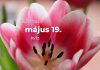 Május 19. Kvíz - május 19.