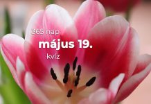 Május 19. Kvíz - május 19.