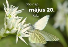 Május 20. Kvíz - május 20.