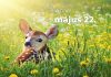Május 22. Kvíz - május 22.