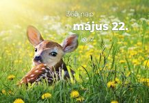 Május 22. Kvíz - május 22.