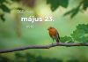 Május 23. Kvíz - május 23.