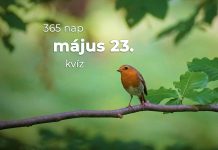 Május 23. Kvíz - május 23.