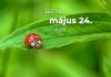 Május 24. Kvíz - május 24.
