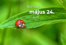 Május 24. Kvíz - május 24.