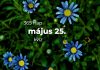 Május 25. Kvíz - május 25.