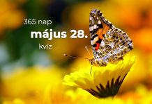 Május 28. Kvíz - május 28.