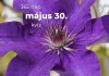 Május 30. Kvíz - május 30.