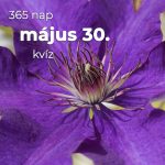 Május 30. Kvíz - május 30.