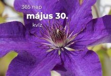 Május 30. Kvíz - május 30.