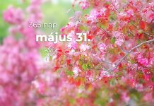 Május 31. Kvíz - május 31.