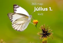 Július 1. Kvíz - július 1.