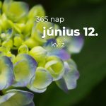 Június 12. Kvíz - június 12.