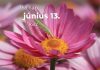 Június 13. Kvíz - június 13.