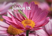 Június 13. Kvíz - június 13.